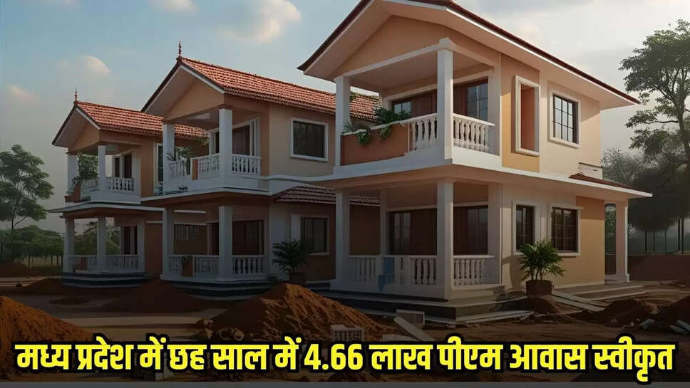 MP News