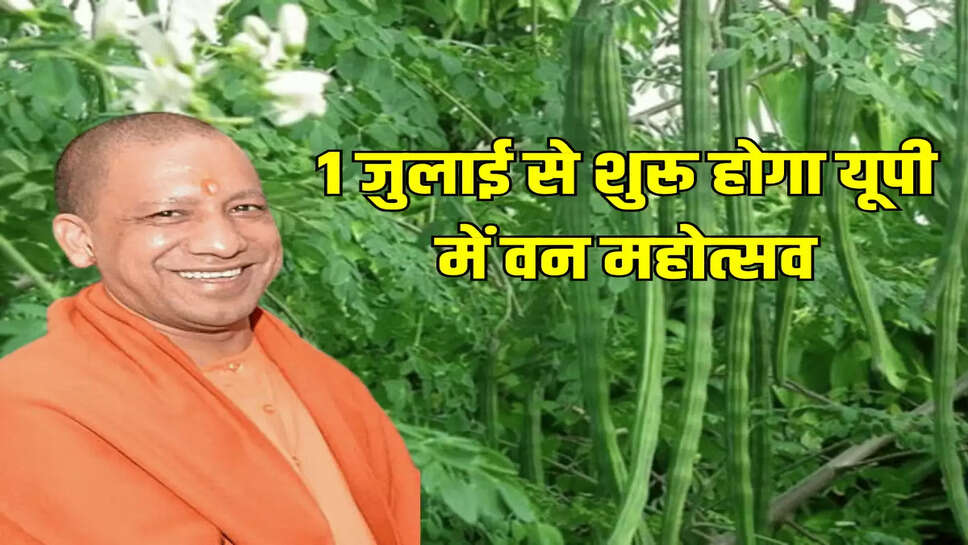 1 जुलाई से शुरू होगा यूपी में वन महोत्सव
