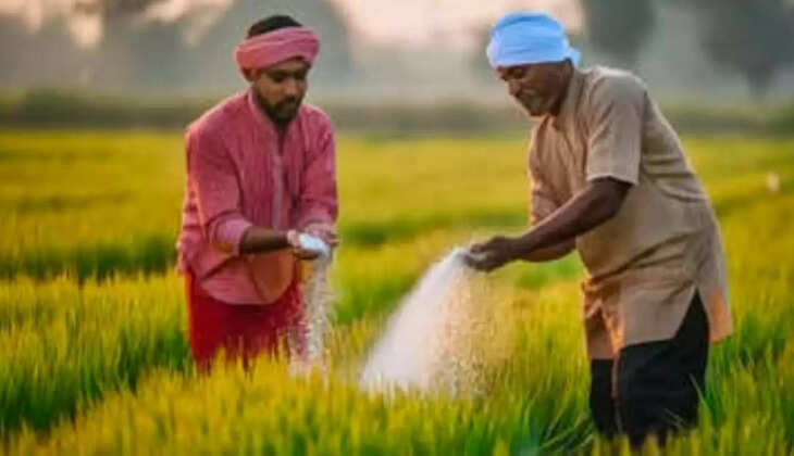 farmers