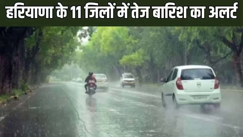 हरियाणा, बारिश ,ओले गिरे,