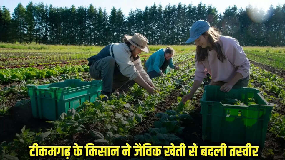 Tikamgarh News