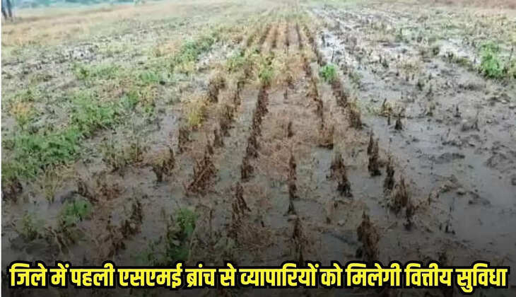 Neemuch News