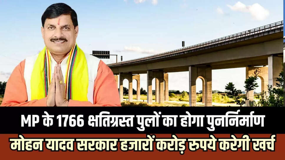 MP NEWS