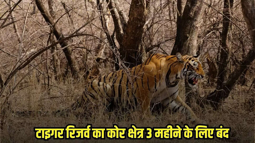 Chhatarpur News