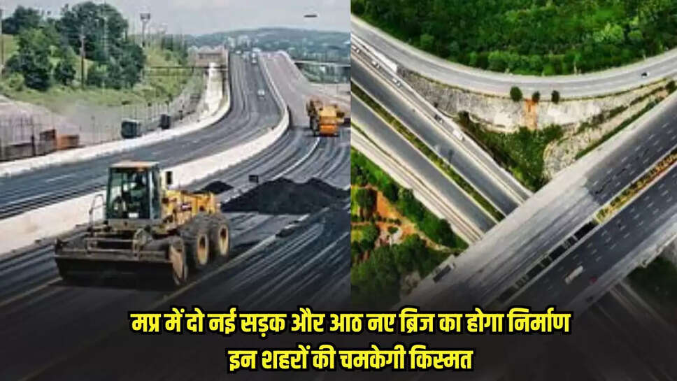 Mp news