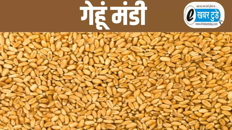 Wheat Price 