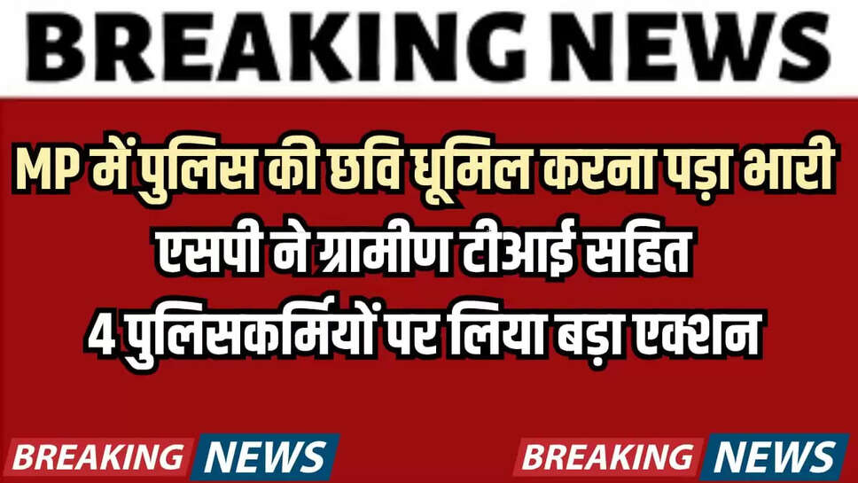 mp news