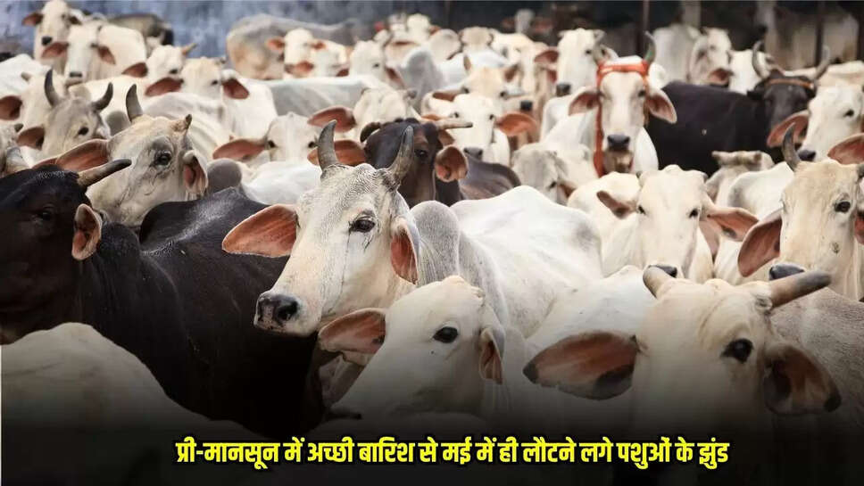 Burhanpur News