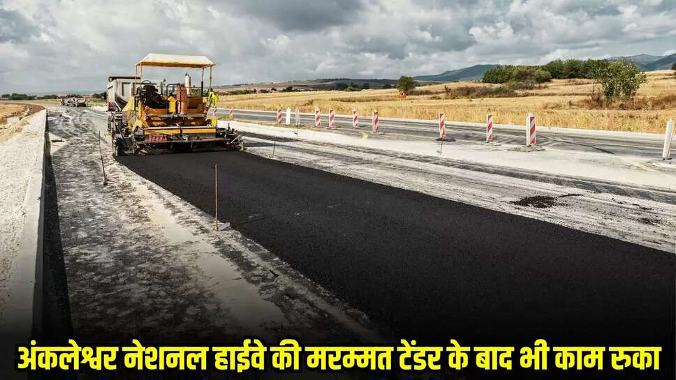MP News
