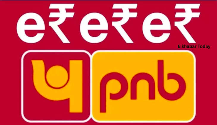 punjab national bank e rupe