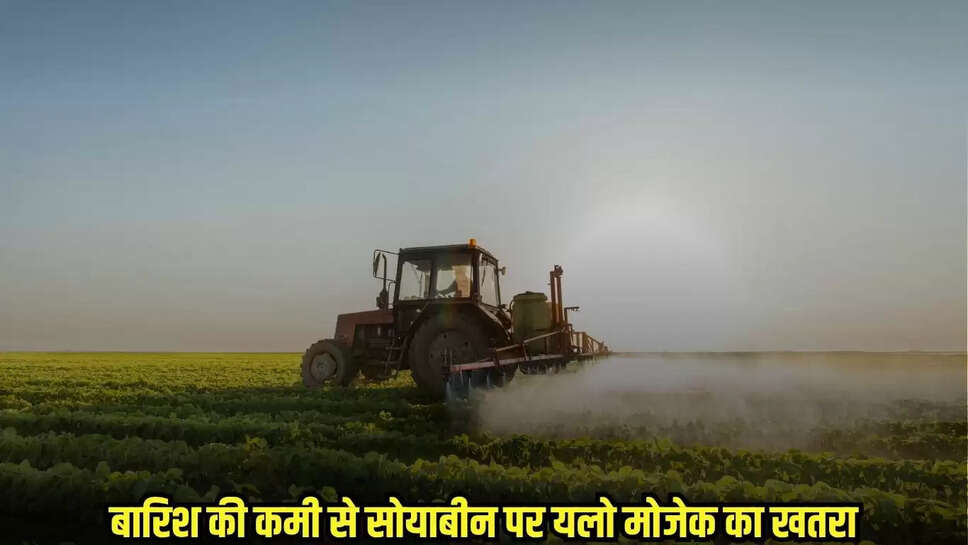 Burhanpur News