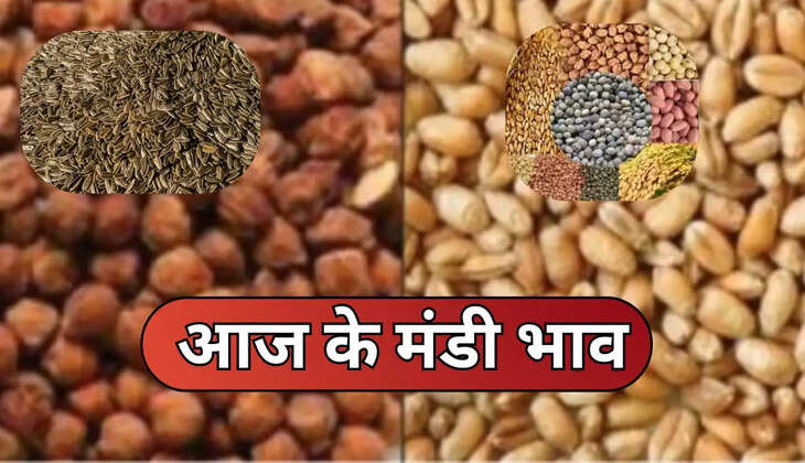 गेहूं, चना, जौ, मेथी, सोयाबीन, सरसों, लहसुन ,प्याज