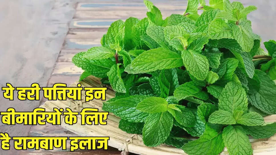 ये हरी पत्तियां इन बीमारियों के लिए है रामबाण इलाज