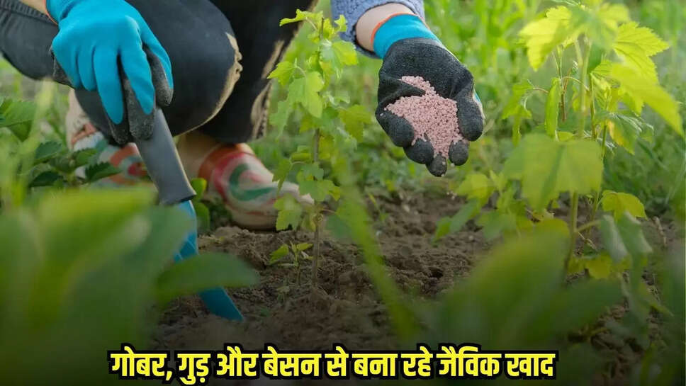 Chhatarpur News