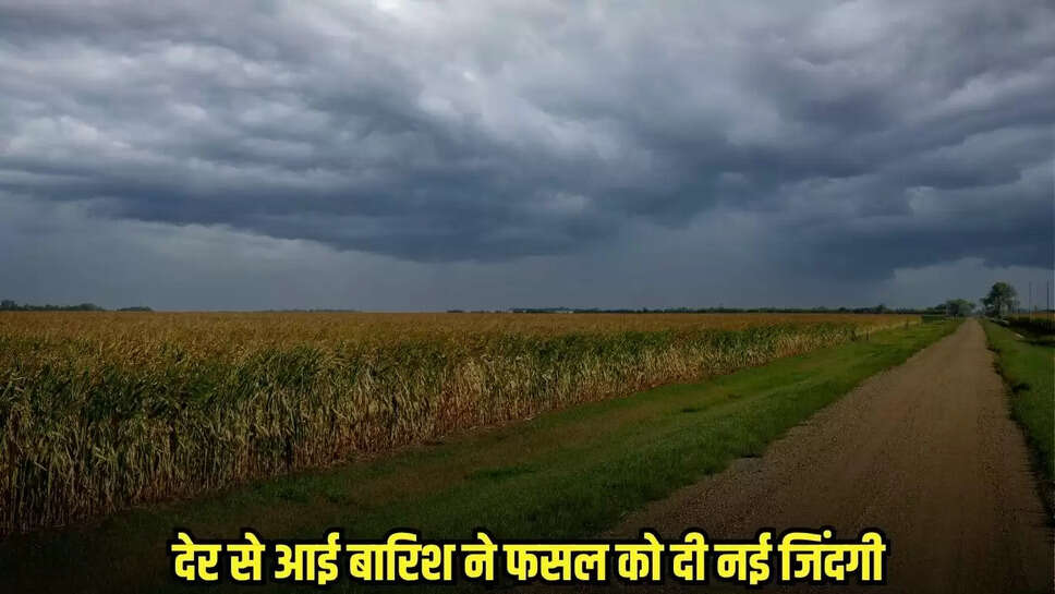 Burhanpur News