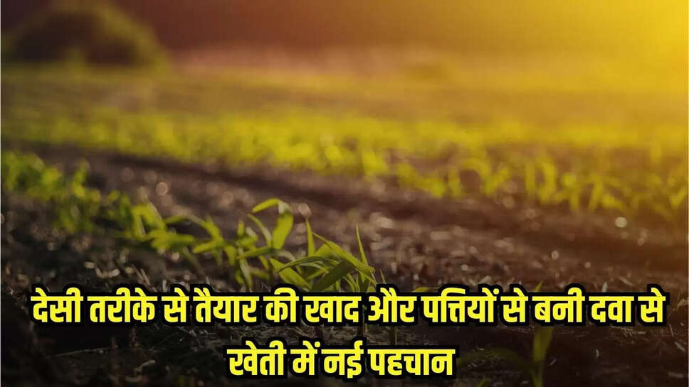 Mandsaur News