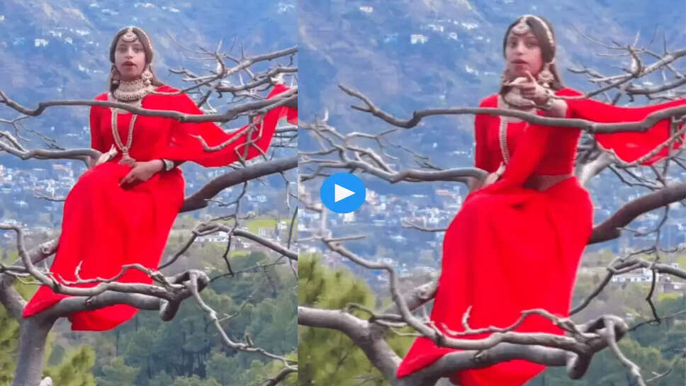 लड़की ने पेड़ पर चढ़कर मारा ये फिल्मी डॉयलॉग
