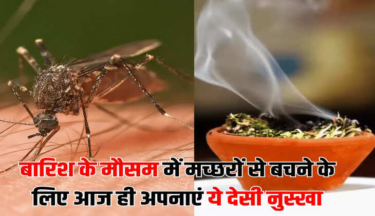 बारिश के मौसम में मच्छरों से बचने के लिए आज ही अपनाएं ये देसी नुस्खा