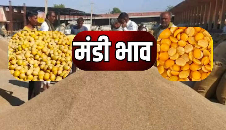 Today Mandi Bhav