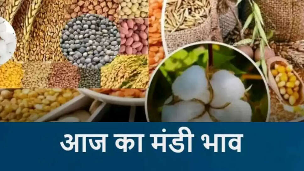 Today Mandi Bhav