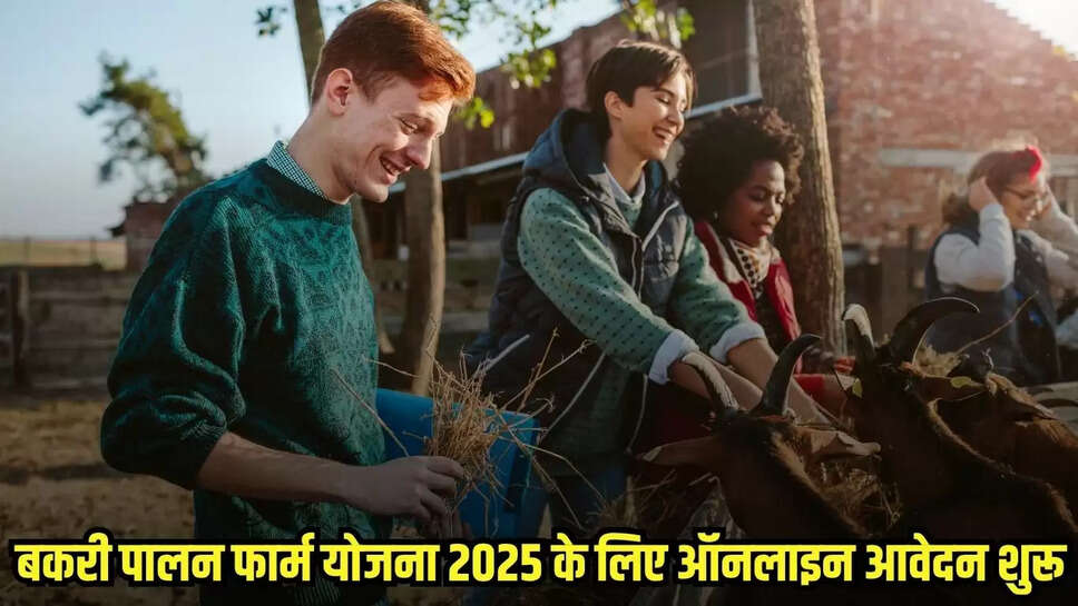 Subsidy Scheme