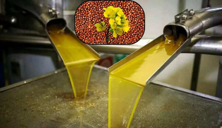  सरसों तेल का अत्याधुनिक मिल 