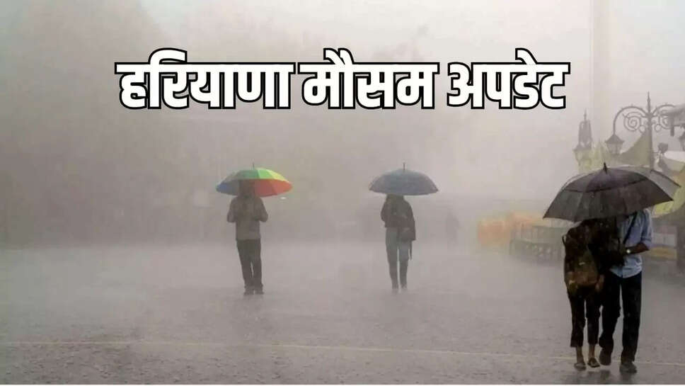haryana weather update 