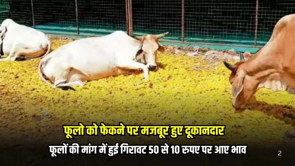 Mandsaur News