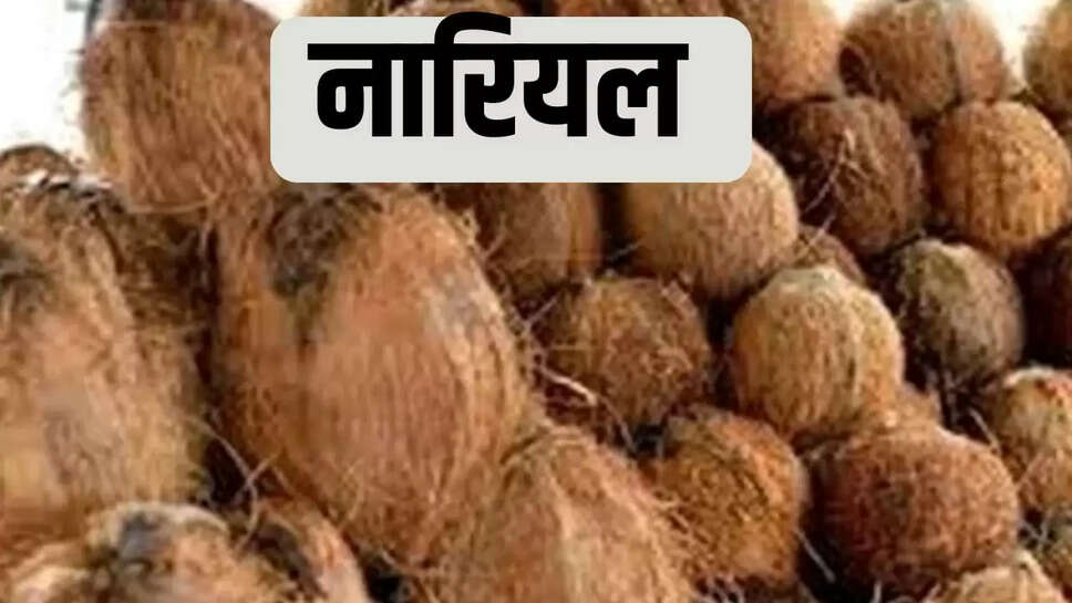 नारियल ने भी पकड़ी रफ्तार