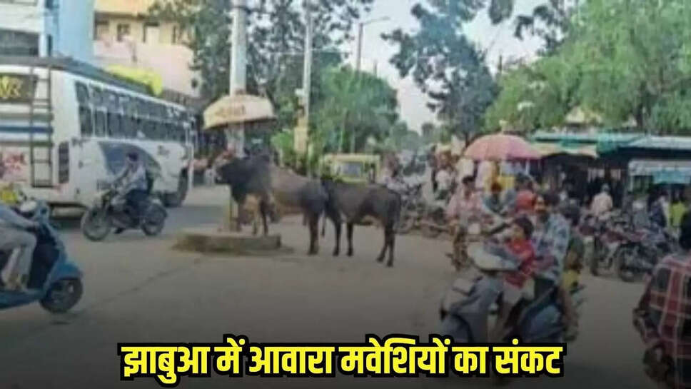 Jhabua news, MP news,