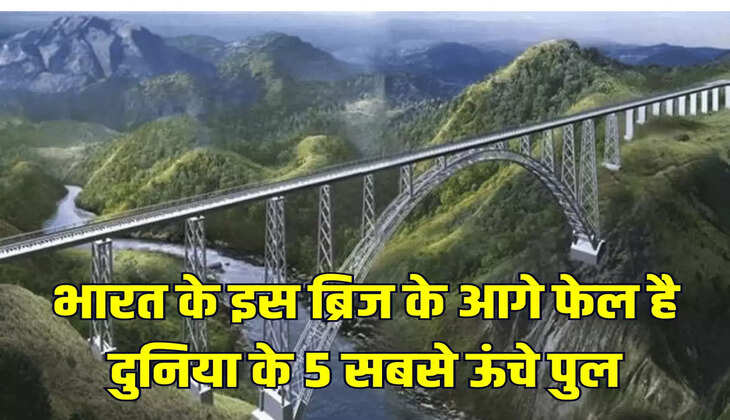 भारत के इस ब्रिज के आगे फेल है दुनिया के 5 सबसे ऊंचे पुल