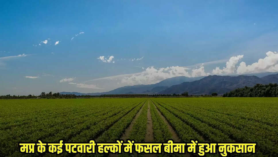 MP News