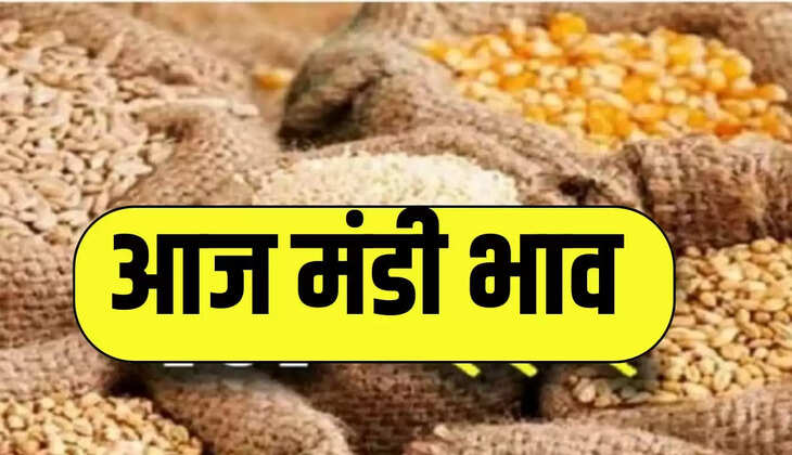 मंडी में आज फसल के भाव