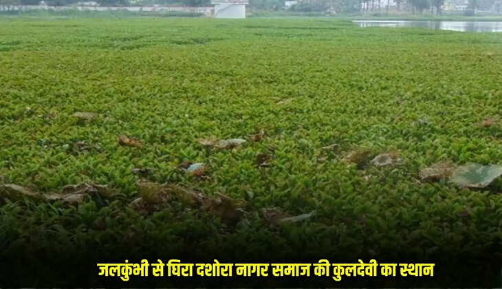 Mandsaur News