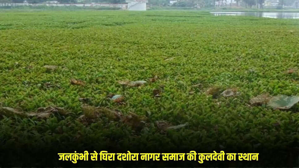 Mandsaur News