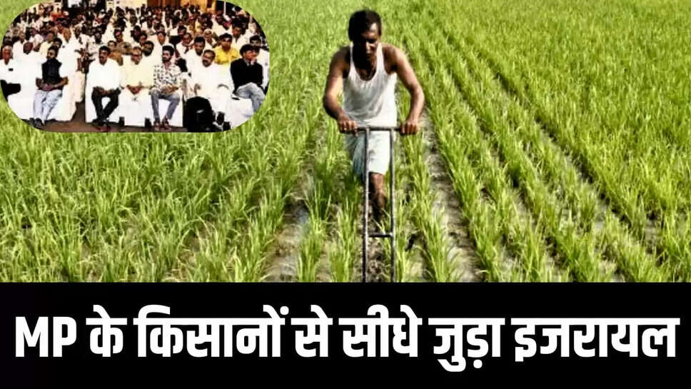 आधुनिक कृषि 