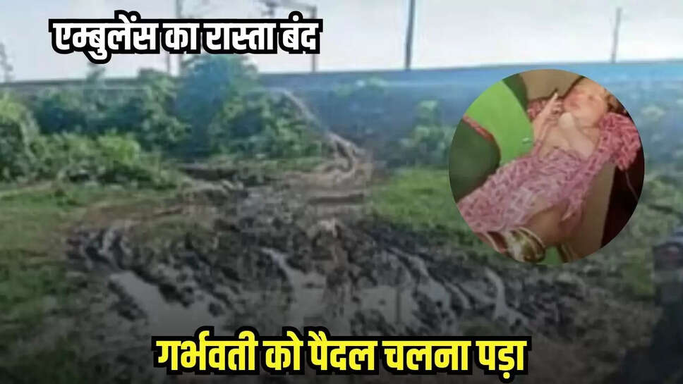 Bina news, MP news,