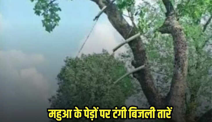 Damoh news, MP news,