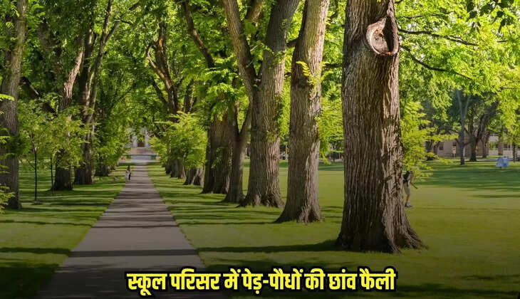 Chhatarpur News