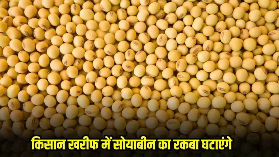 Bina News