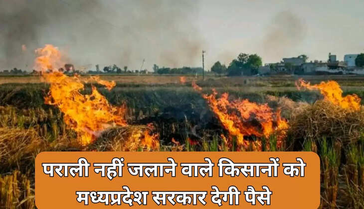 मध्यप्रदेश सरकार देगी पैसे
