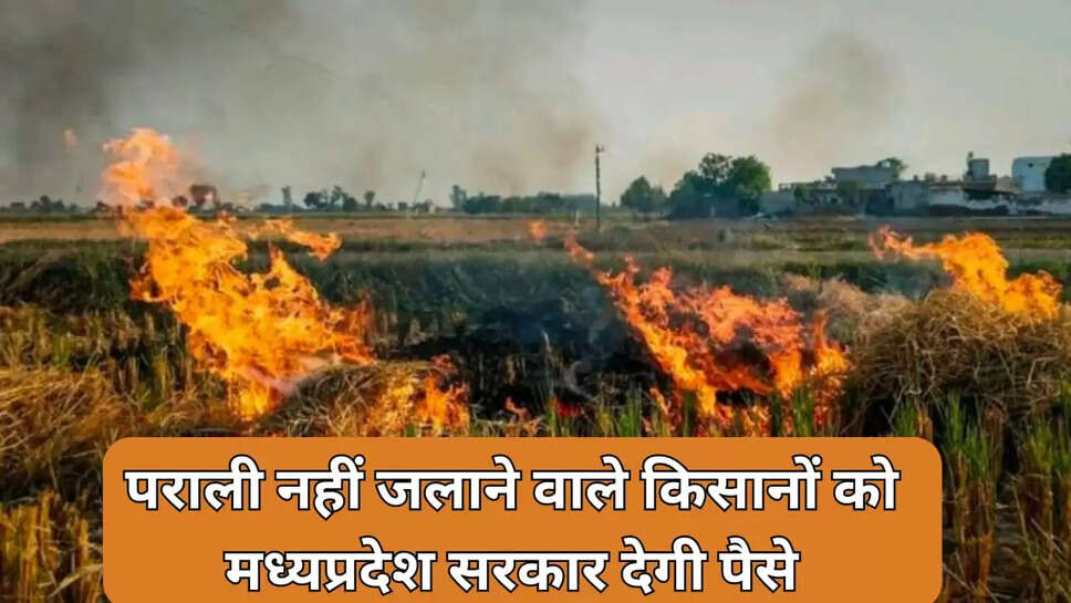 मध्यप्रदेश सरकार देगी पैसे