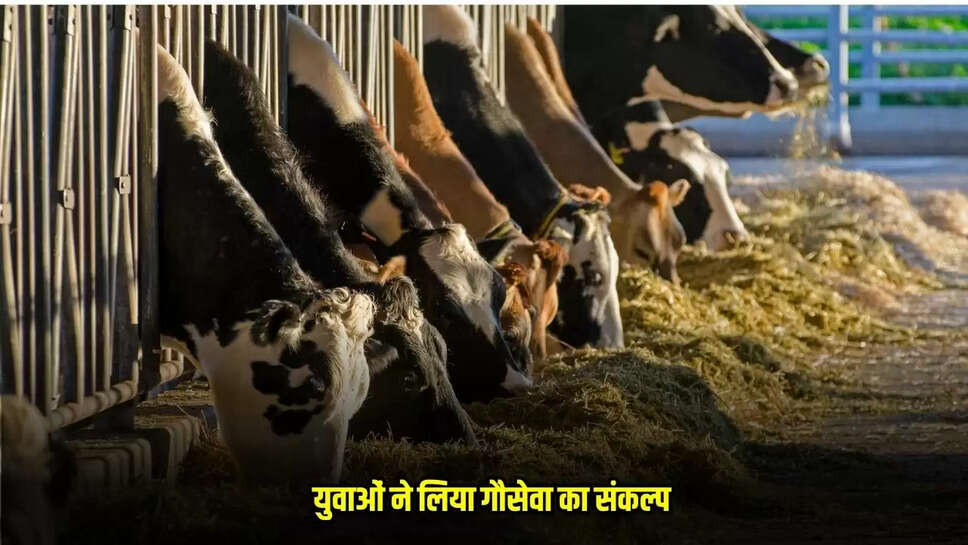 Mandsaur News