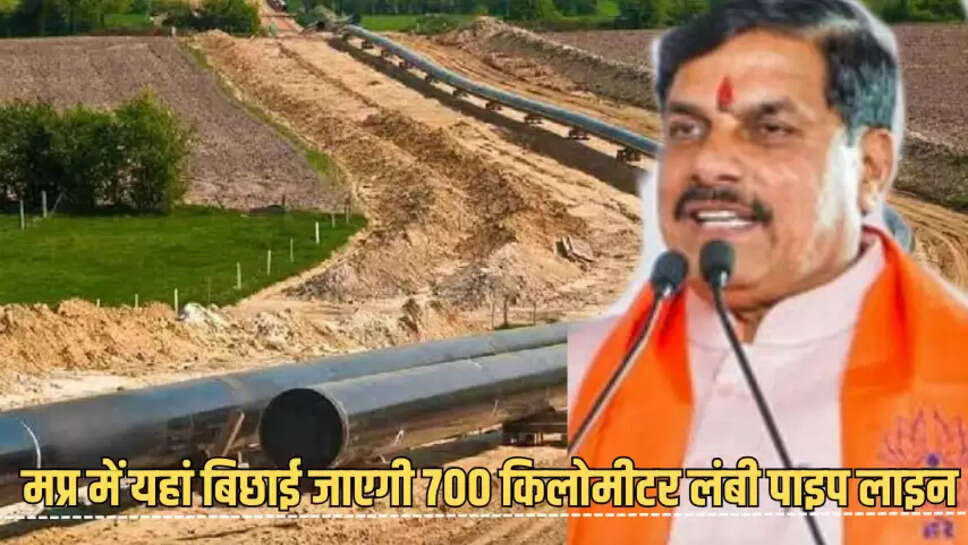 Mp news