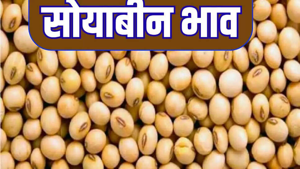 soybean prices