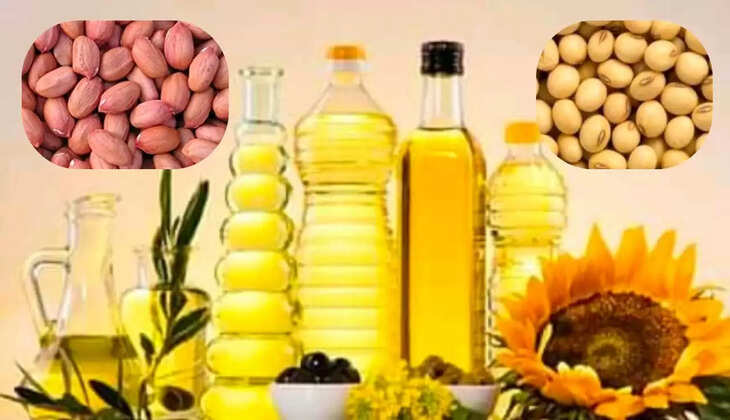  soybean oil 