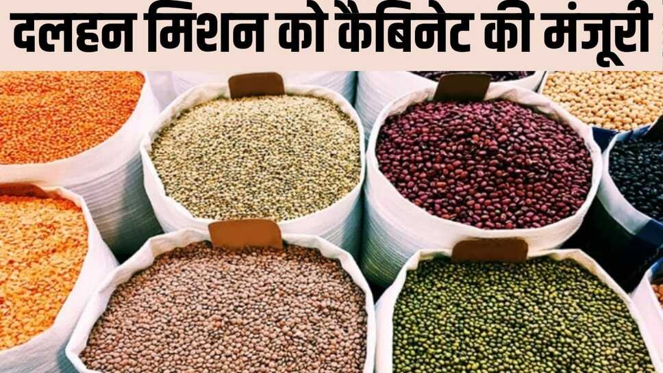 Cabinet approves Pulses Mission