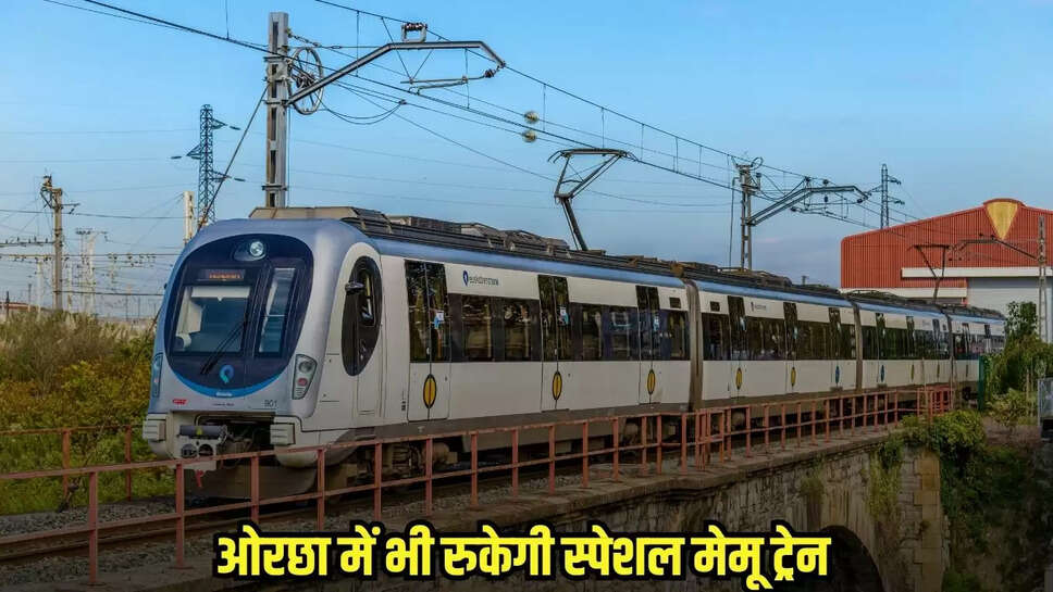 MP News
