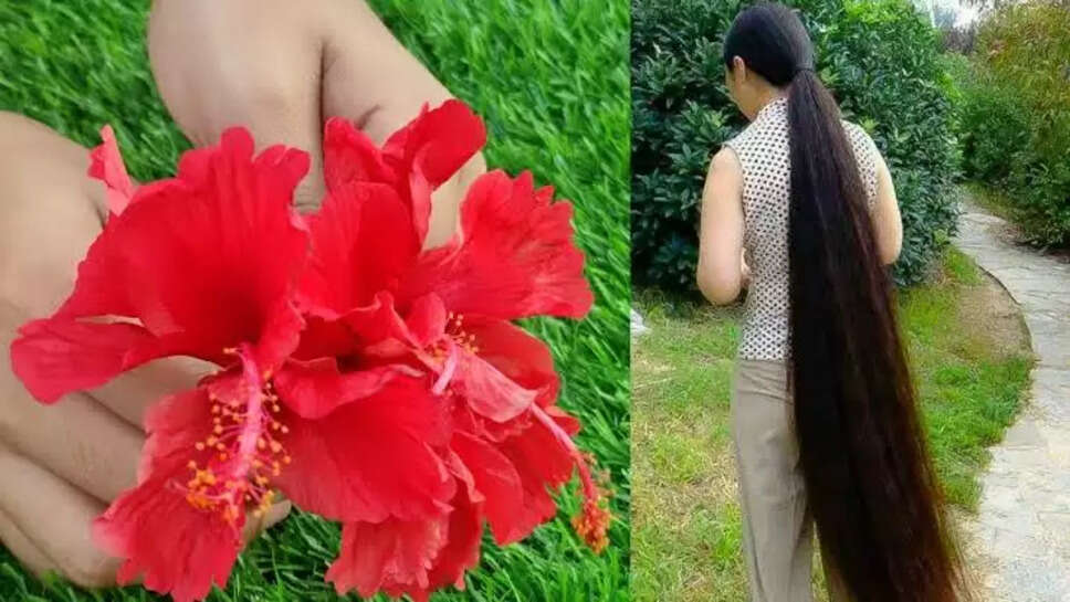 Hair care