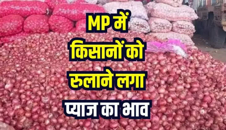 MP News